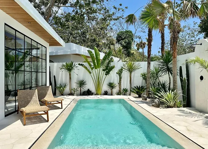 Villa Melrose X The Young *