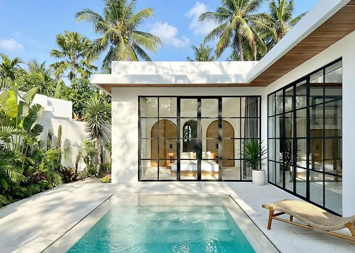 Melrose X The Young